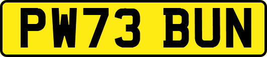 PW73BUN