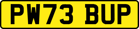 PW73BUP