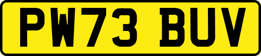 PW73BUV