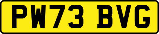 PW73BVG