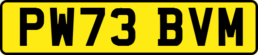 PW73BVM