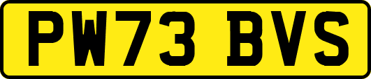 PW73BVS