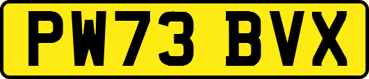 PW73BVX