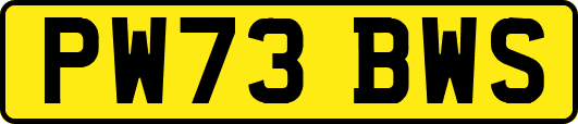 PW73BWS