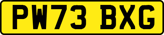 PW73BXG