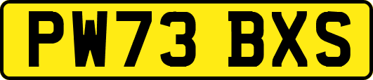 PW73BXS