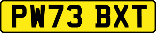 PW73BXT