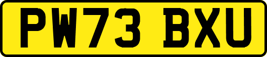 PW73BXU
