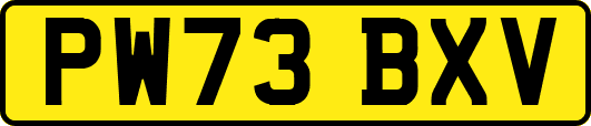 PW73BXV