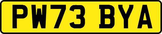 PW73BYA