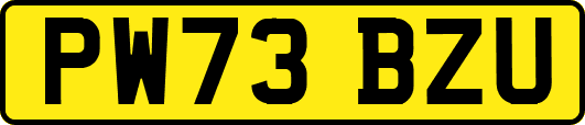 PW73BZU