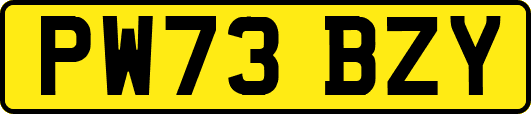 PW73BZY