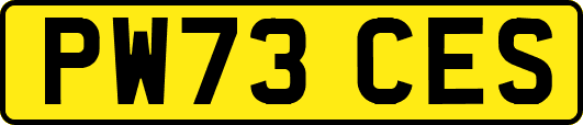 PW73CES