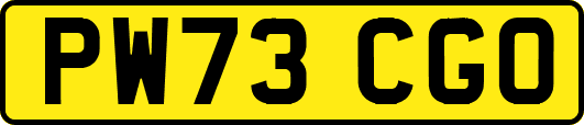 PW73CGO