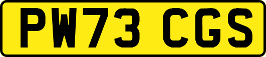 PW73CGS