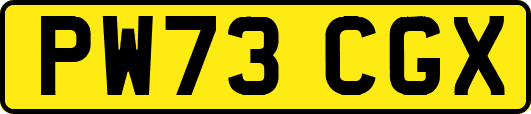 PW73CGX