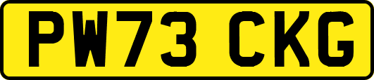 PW73CKG