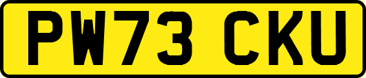 PW73CKU