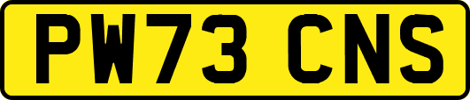 PW73CNS