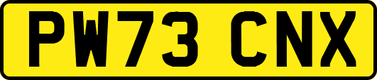 PW73CNX