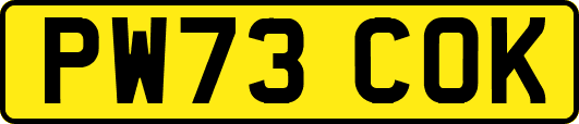 PW73COK