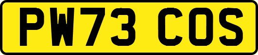 PW73COS