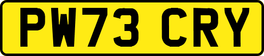 PW73CRY