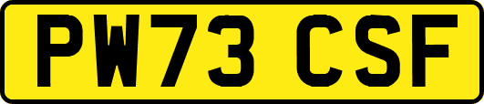 PW73CSF