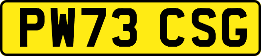 PW73CSG