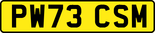 PW73CSM