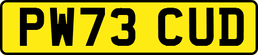 PW73CUD