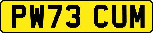 PW73CUM