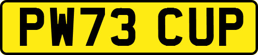 PW73CUP