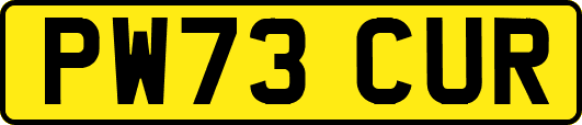 PW73CUR
