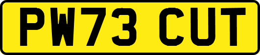 PW73CUT