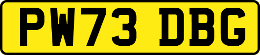 PW73DBG