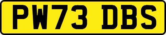 PW73DBS