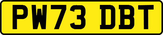 PW73DBT