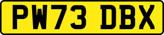 PW73DBX