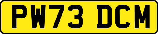 PW73DCM