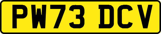 PW73DCV