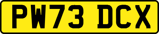 PW73DCX