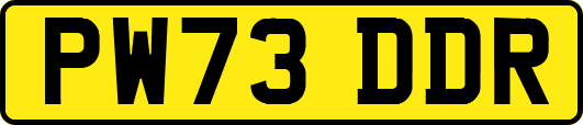 PW73DDR