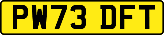 PW73DFT