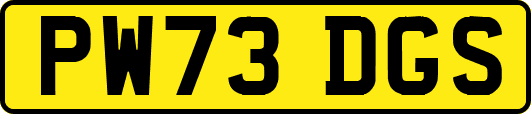 PW73DGS
