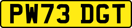 PW73DGT