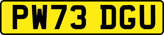 PW73DGU