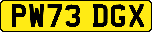 PW73DGX