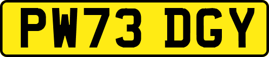 PW73DGY