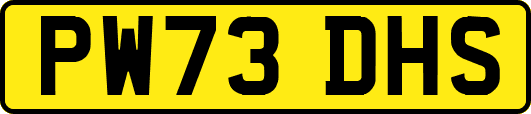 PW73DHS